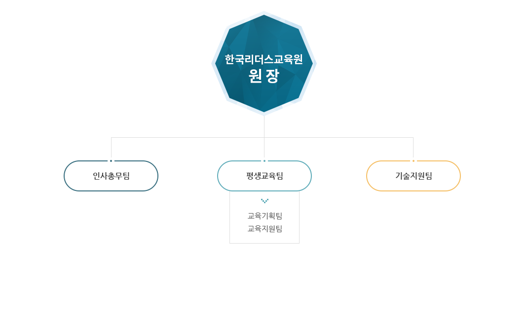 한국리더스교육원 비전